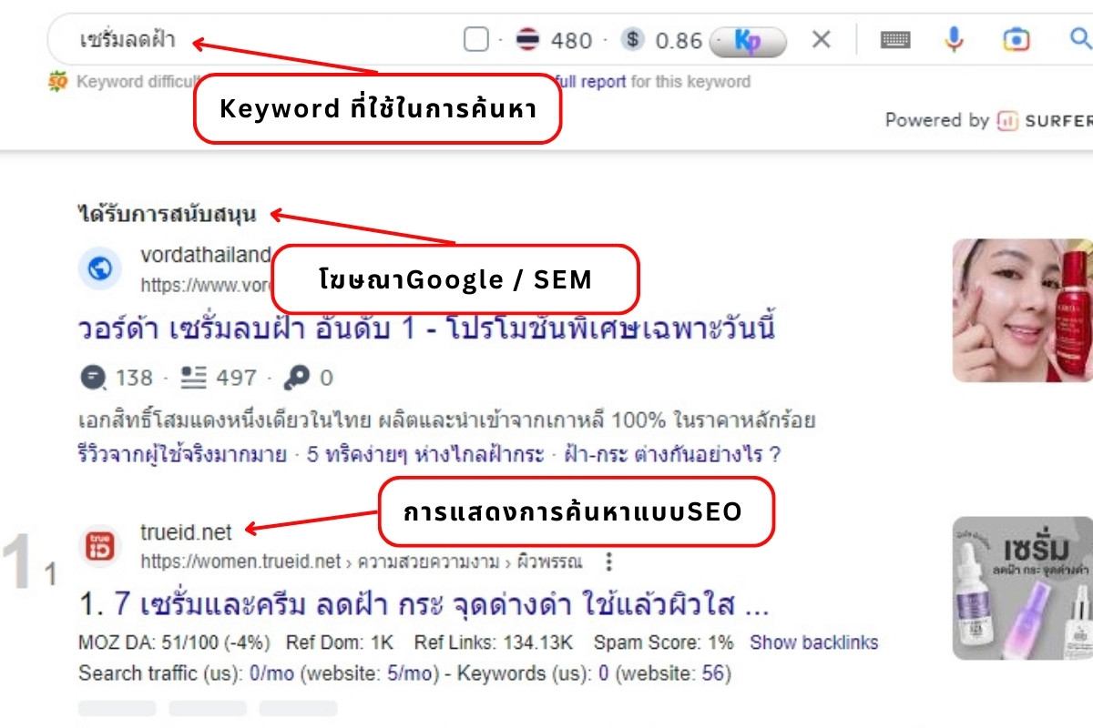 ความแตกต่างของ SEO และ SEM (1) ความแตกต่างของ SEO และ SEM (1)